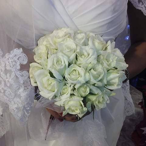 بيلو فلوغيست  photo