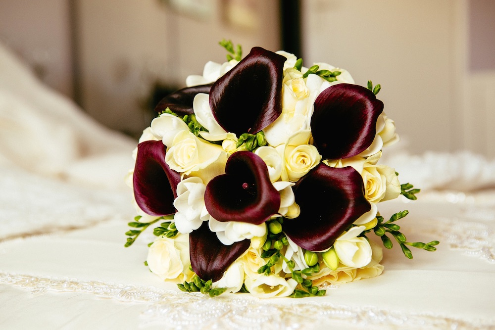 كتاب الصور photo