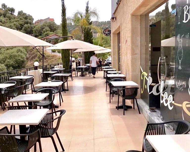 Le Cactus - & Teamwork photo