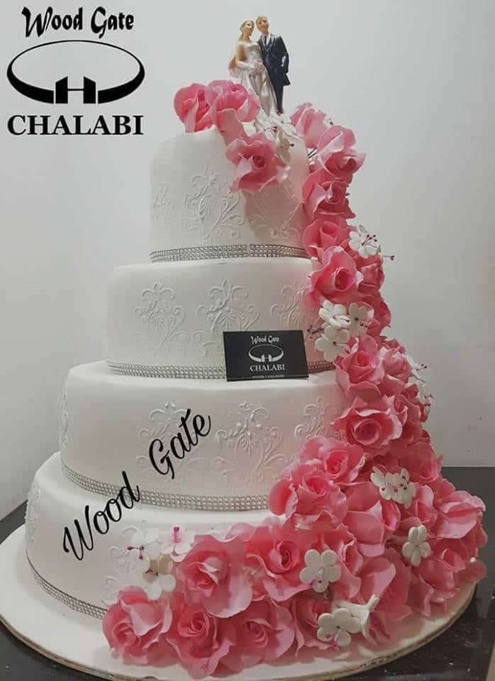 وودجايت شلبي