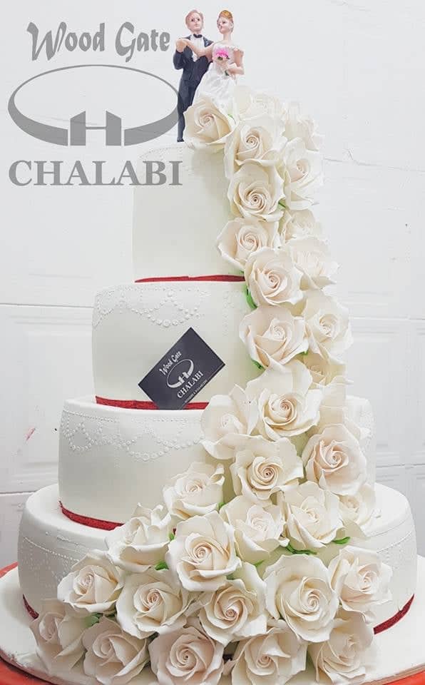 وودجايت شلبي