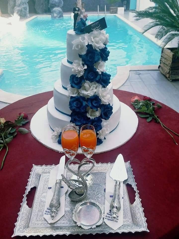 وودجايت شلبي