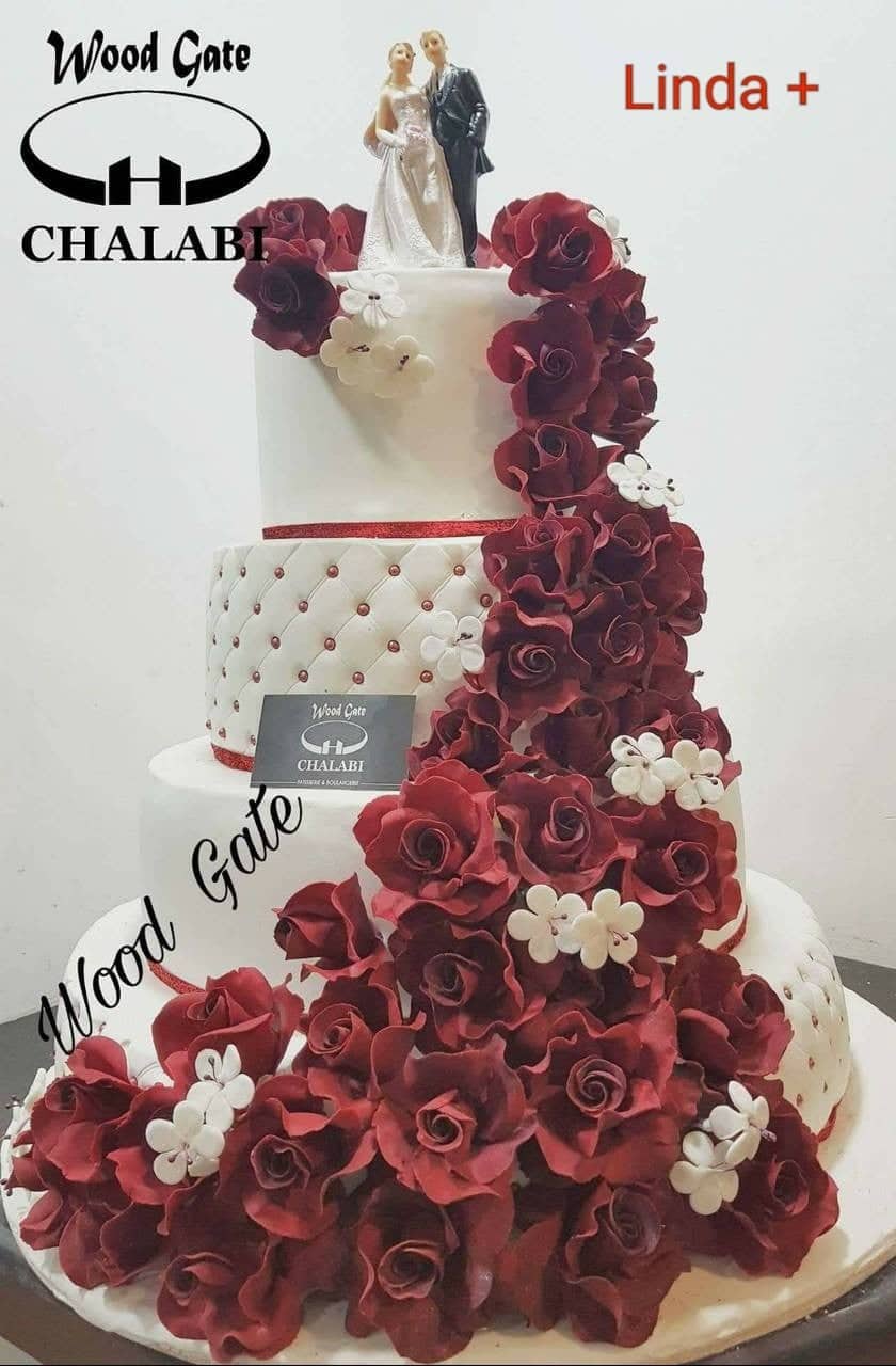 وودجايت شلبي