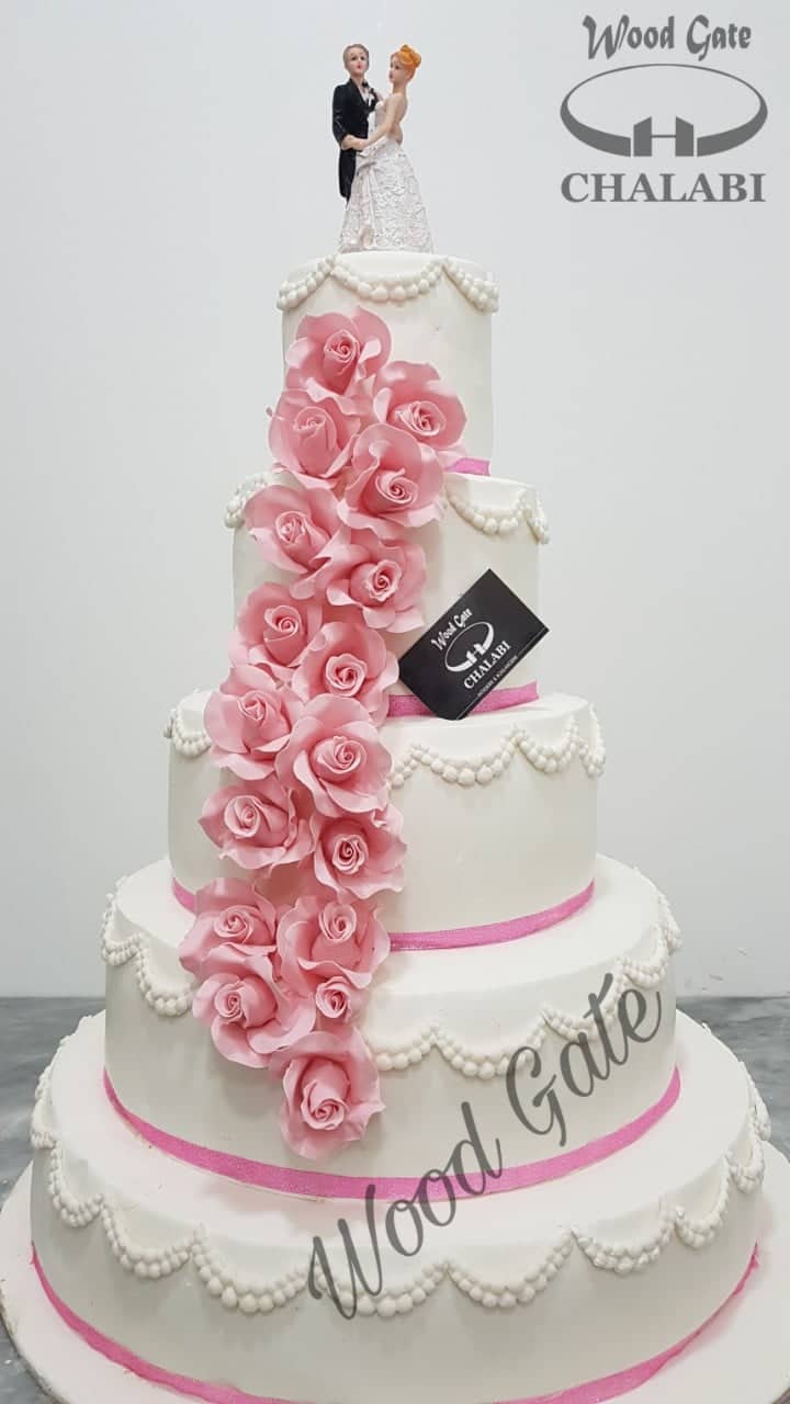 وودجايت شلبي