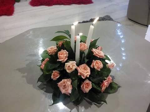 بيلو فلوغيست  photo