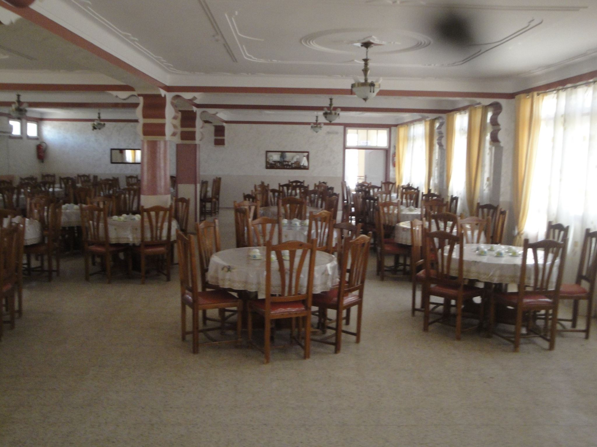 Mimosas Barris photo